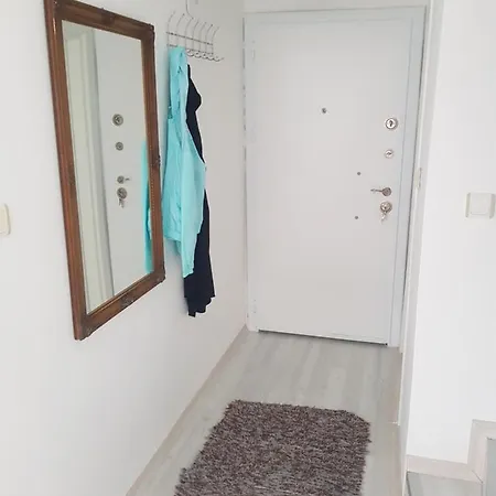 Villa Am Strand シダ